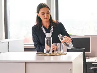 BRITA - Gansky