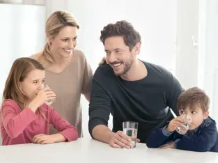 BRITA - Gansky